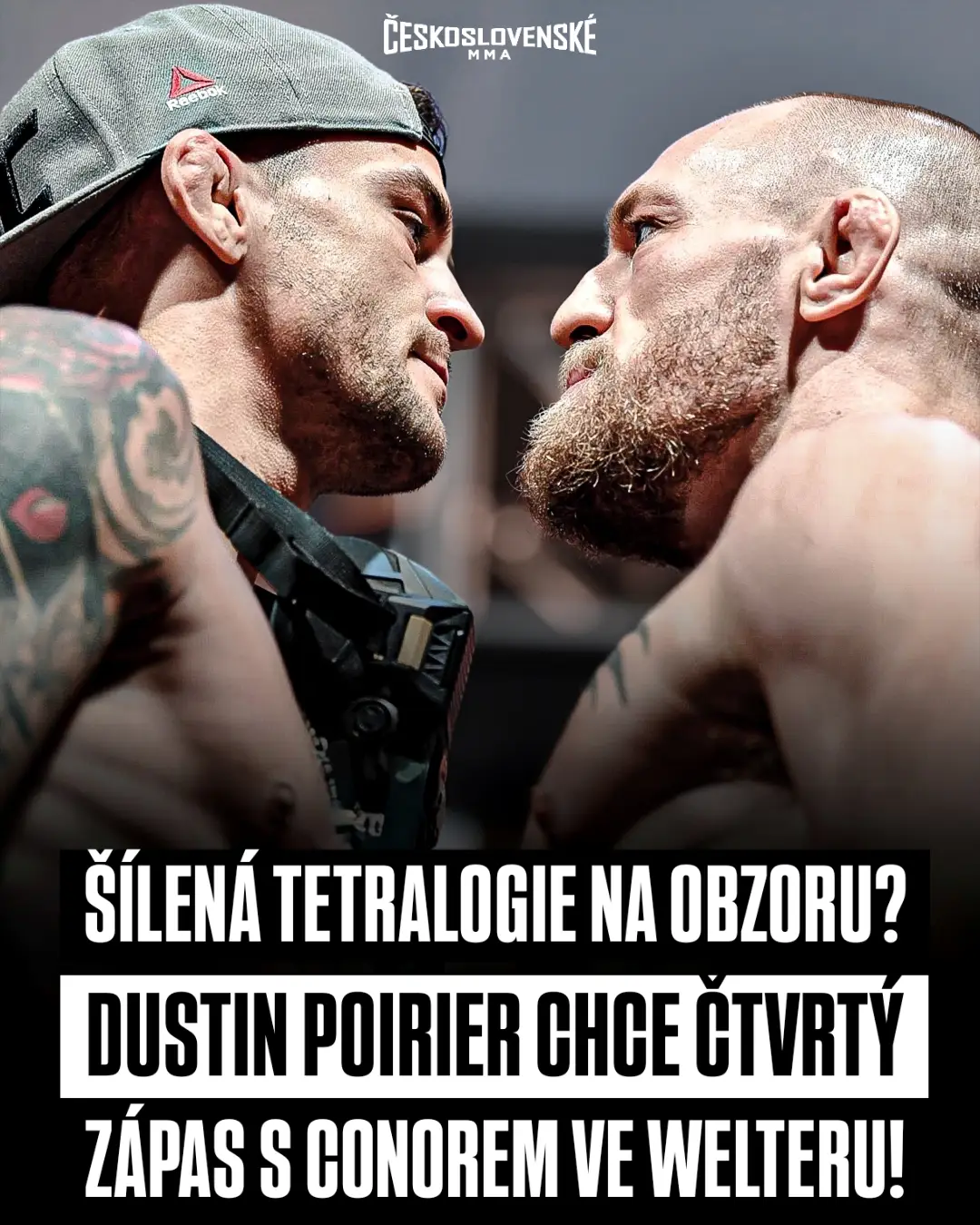 article preview
