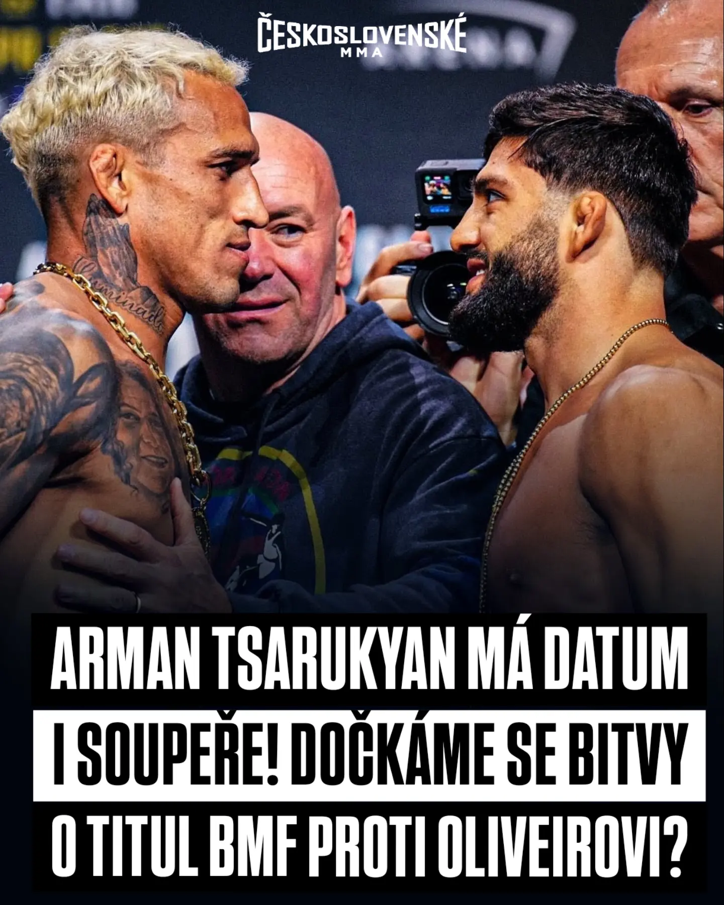 article preview