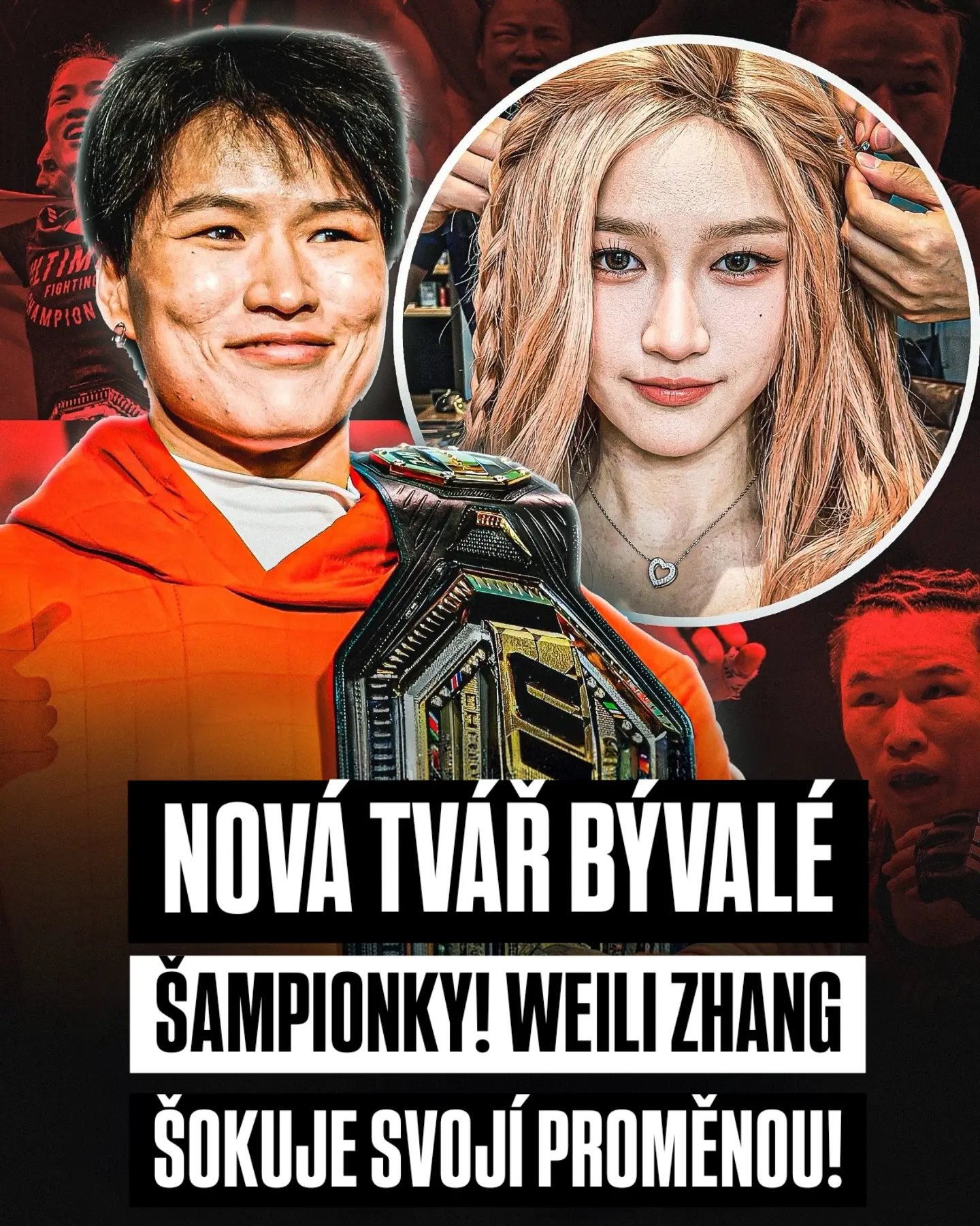 article preview