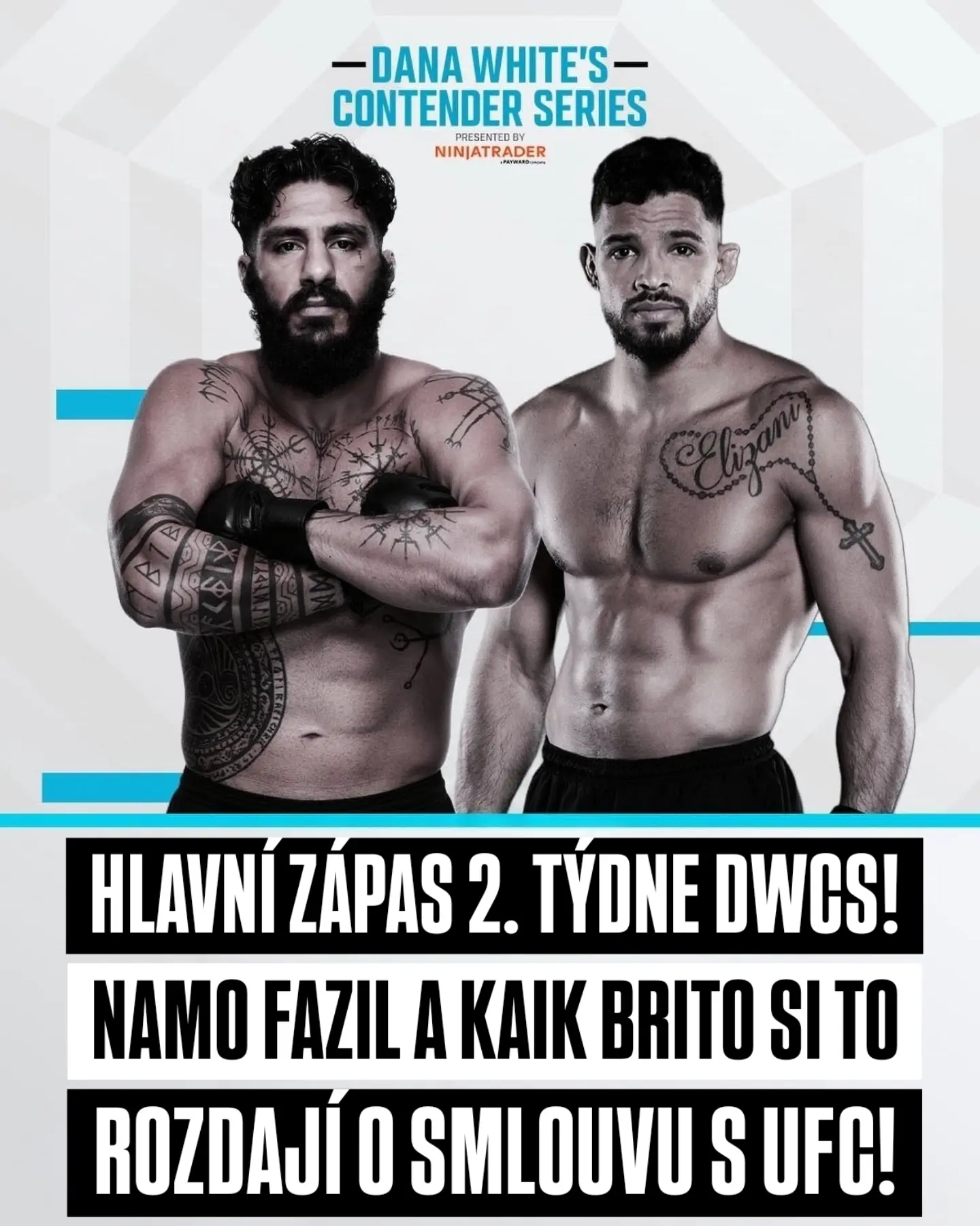 article preview