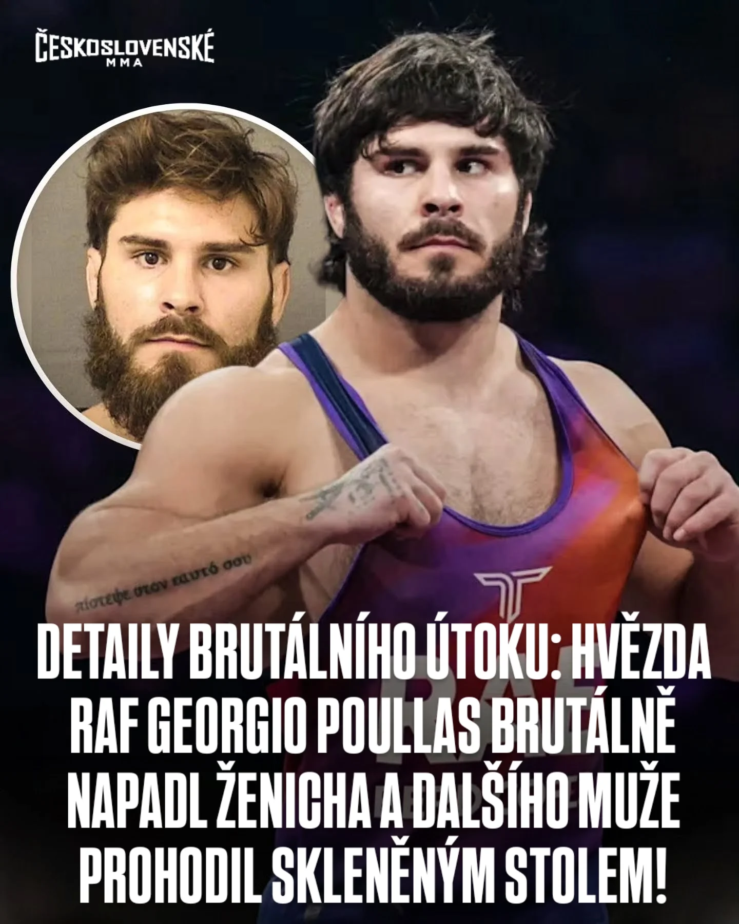article preview