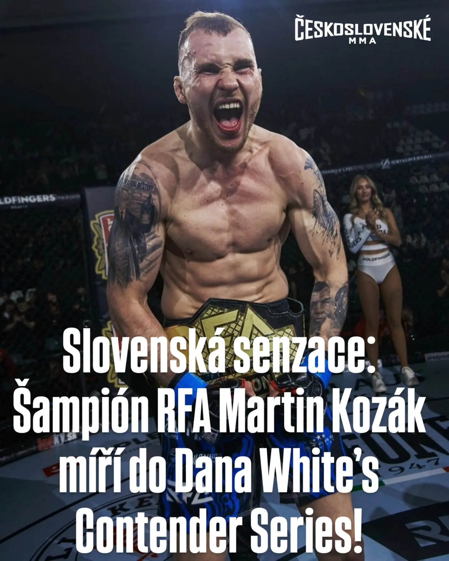 article preview