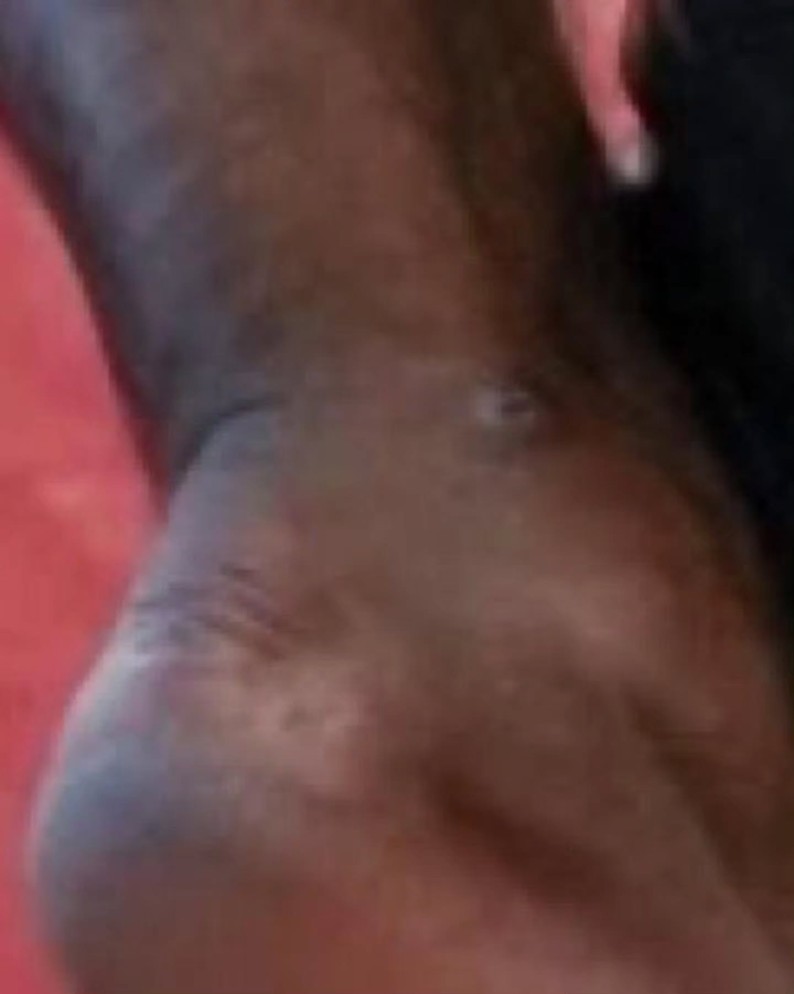 fightbasics_1783191366531.jpg