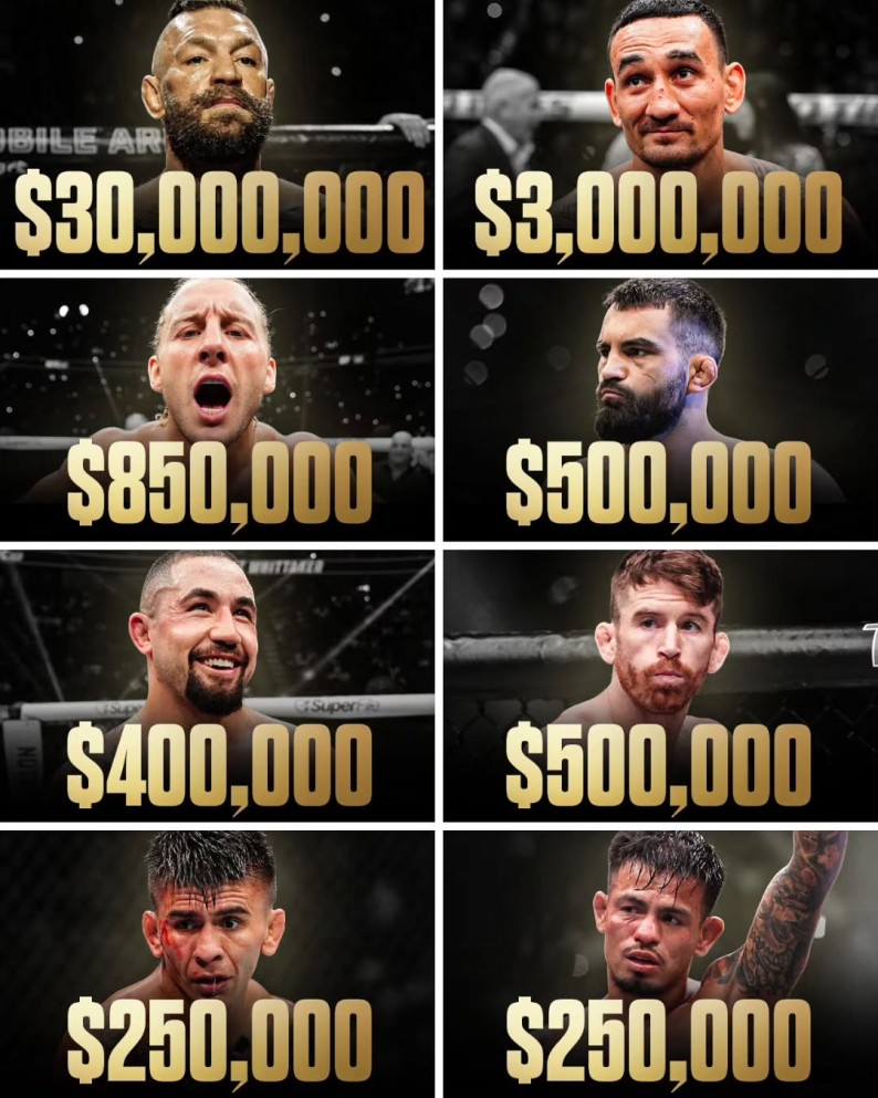fightbasics_1783937146777.jpg